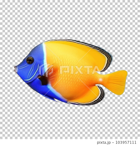 Red sea clown tang fish isolated on white. Illustration AI Generative 103957111