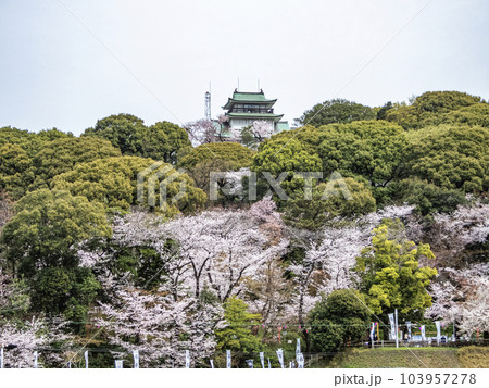 春の小牧山城　麒麟の城 103957278