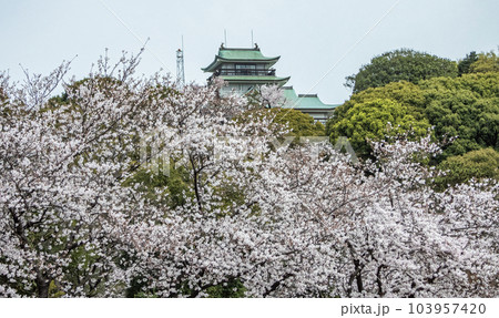 春の小牧山城　麒麟の城 103957420