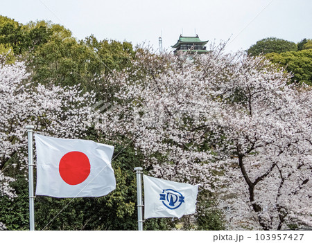 春の小牧山城 麒麟の城 春の小牧山城 麒麟の城 103957427