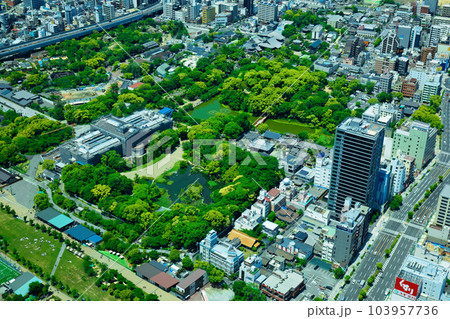 あべのハルカスより天王寺公園方面を望む　若葉に新緑 103957736