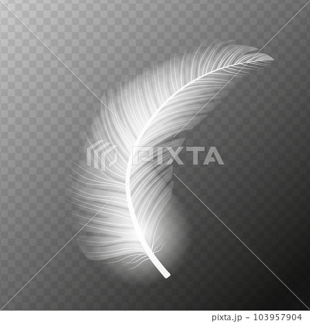 White feather. Flying realistic vector white feather. Isolated vector illustration EPS10 103957904