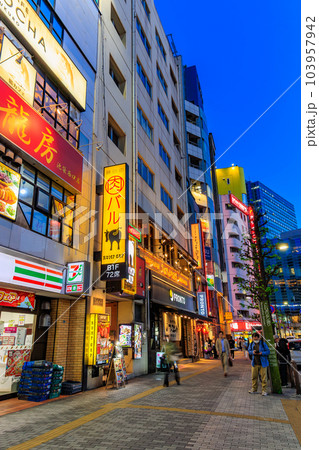 東京　豊島区　池袋西口の都市風景　メトロポリタン通り 103957942
