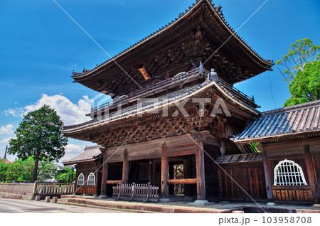 大樹寺の山門:愛知県岡崎市 大樹寺の山門:愛知県岡崎市 103958708