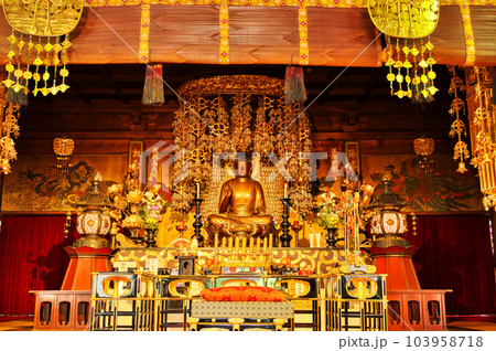 大樹寺　本堂内の木造阿弥陀如来坐像：愛知県岡崎市 103958718