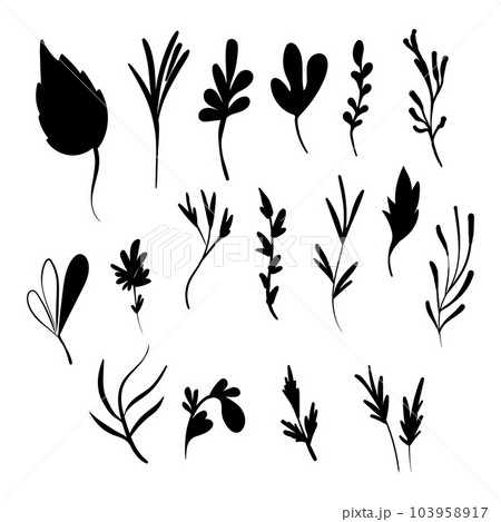 Artistic floral minimalist set. Isolated branch black silhouette. Modern shapes with leaves. Vector illustration Artistic floral minimalist set. Isolated branch black silhouette. Modern shapes with leaves. Vector illustration 103958917