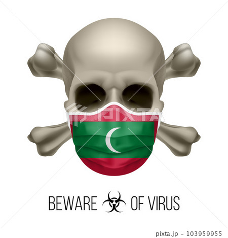 Human Skull Human Skull 103959955