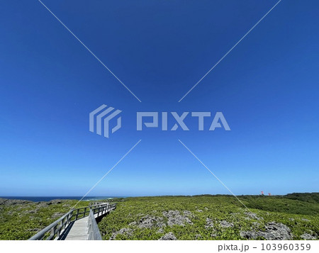 宮古島　下地島　通り池のさらに奥にある散策路 103960359