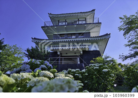 あじさい公園 R5年初夏 あじさい公園 R5年初夏 103960399