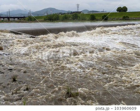 大雨で増水した大和川の柏原堰堤 大雨で増水した大和川の柏原堰堤 103960609
