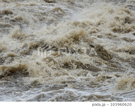 大雨で増水した大和川の柏原堰堤 大雨で増水した大和川の柏原堰堤 103960620