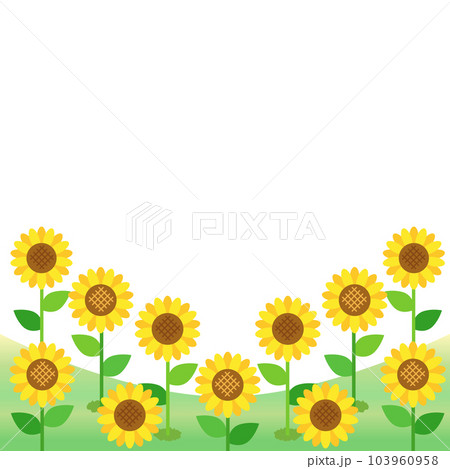 向日葵のお花畑をイメージしたイラスト　アスペクト比1：1バージョン 103960958