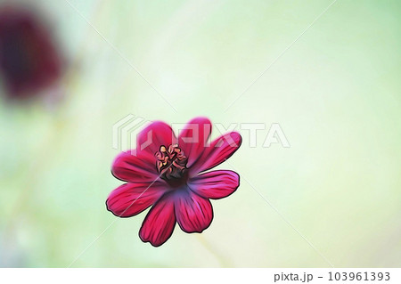 パステル調　”チョコレートコスモス”　イラストイメージ 103961393