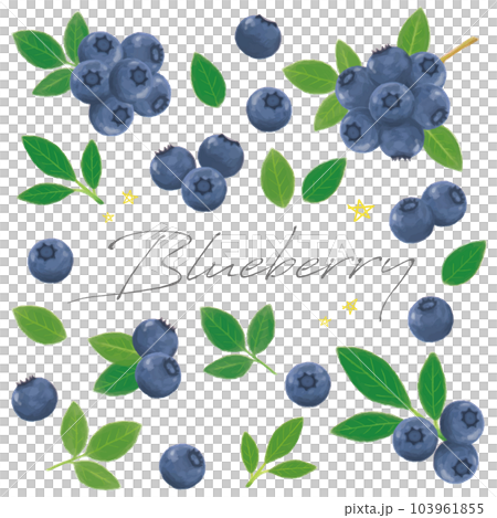 Blueberry hand-painted watercolor set vector 103961855