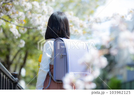 通学路を歩く小学生の女の子　桜 103962125