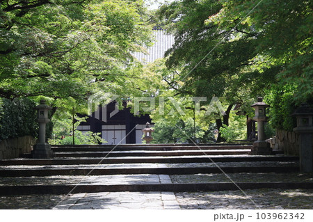 こもれ陽感じる新緑のもみじの樹々のトンネルと石畳の参道の先に大きな本堂が見える寺の境内の風景 こもれ陽感じる新緑のもみじの樹々のトンネルと石畳の参道の先に大きな本堂が見える寺の境内の風景 103962342
