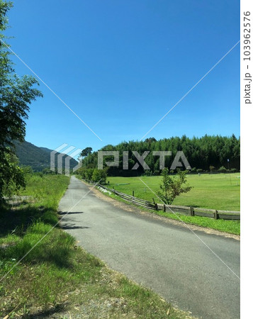 山に向かって真っ直ぐに伸びていく道 103962576