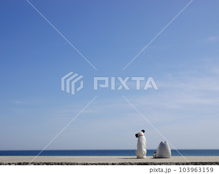 岸壁から置物の「猫と犬」が海と空を眺めるイメージ風景 103963159