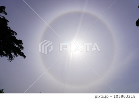 太陽 太陽 103963218