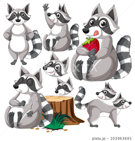 Set of raccoon cartoon character with head and facial expression 103963693