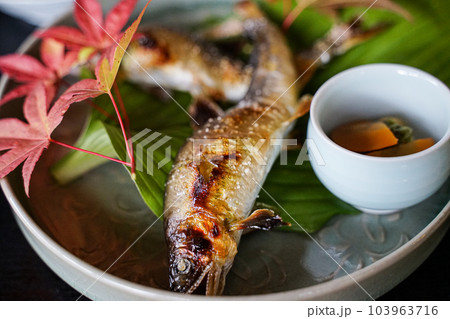 鮎の塩焼き 鮎の塩焼き 103963716