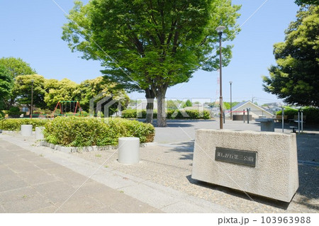 美しが丘第三公園(横浜市青葉区) 美しが丘第三公園(横浜市青葉区) 103963988