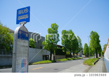 たまプラーザ住宅街、ユリノキ通りバス停 平津(横浜市青葉区) 103963989
