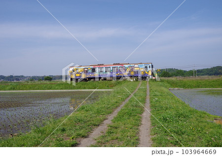 湊線と水田地帯 103964669