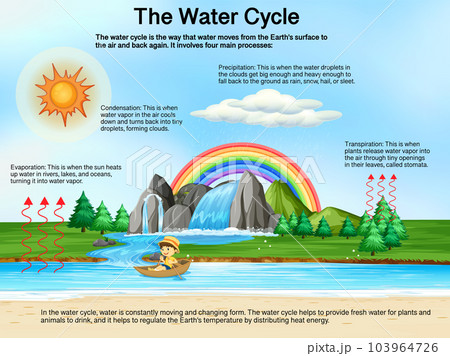 Frog Life Cycle Diagram 103964726