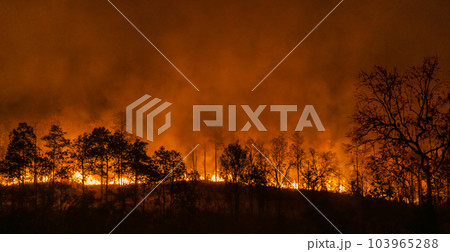 El Nino weather phenomenon cause drought and increase wildfire. 103965288