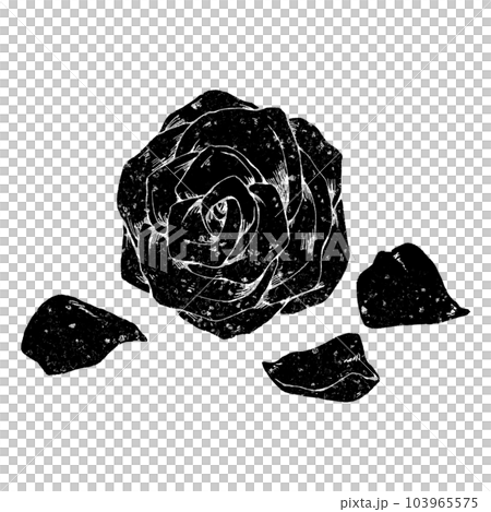 Rose flower and petals (single item) / stamp Rose flower and petals (single item) / stamp 103965575