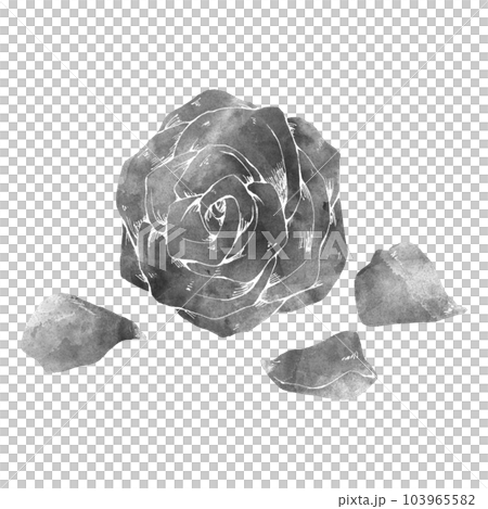 玫瑰花朵及花瓣（單品）/水墨風 103965582