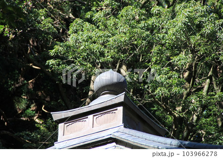 建物/頂部に「宝珠」が装飾されている、寺院建築の屋根 建物/頂部に「宝珠」が装飾されている、寺院建築の屋根 103966278
