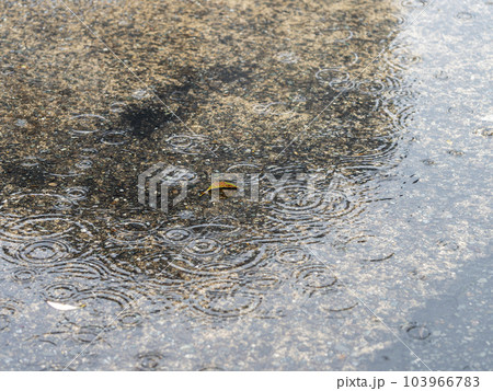 道路に出来た水溜まり 道路に出来た水溜まり 103966783
