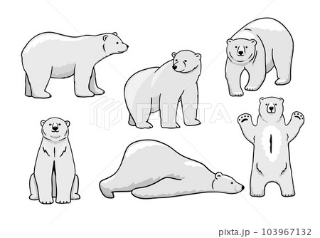 White polar bear set. Funny polar bear is lying. Vector flat cartoon illustration isolated on white background. White polar bear set. Funny polar bear is lying. Vector flat cartoon illustration isolated on white background. 103967132