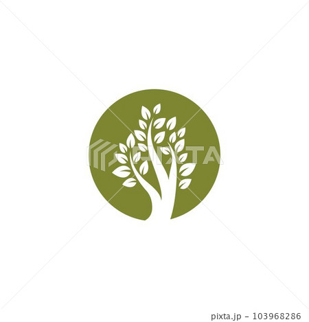 Tree symbol vector illustration Tree symbol vector illustration 103968286