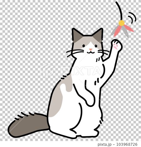 貓玩玩具的插圖 103968726