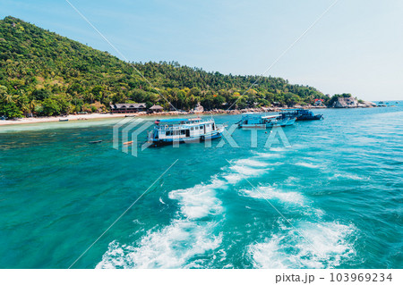 Bay and boat trips at Koh Tao 103969234