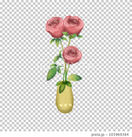 Roses  103969384
