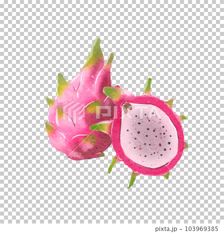 Dragon fruit  103969385