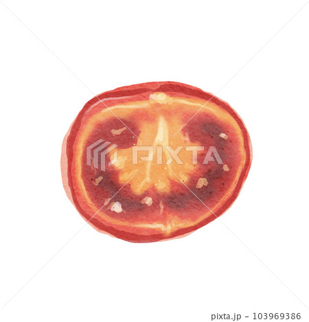 tomato  103969386