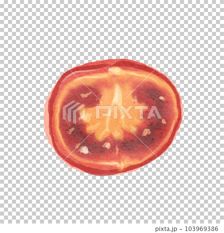tomato  103969386