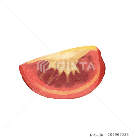 tomato  103969388