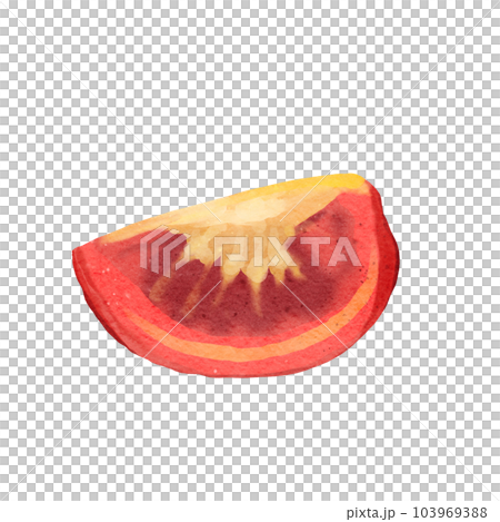 tomato  103969388