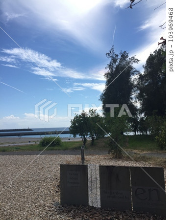 盛夏のヤシィパーク 盛夏のヤシィパーク 103969468