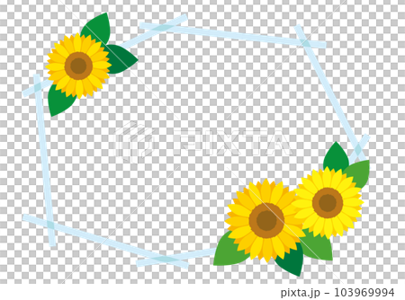Sunflower cross line transparent frame background / light blue 103969994