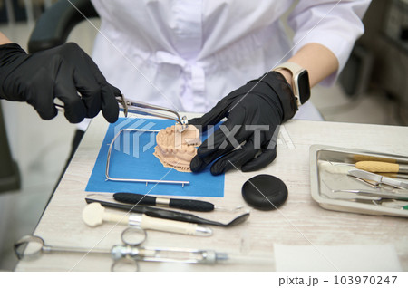 Close-up prosthetic engineer, dentist doctor, orthodontist working with gypsum cast of human jaw in medical clinical lab. Dental prosthesis. Dental implant. Cosmetic dentistry. Maxillofacial surgery. Close-up prosthetic engineer, dentist doctor, orthodontist working with gypsum cast of human jaw in medical clinical lab. Dental prosthesis. Dental implant. Cosmetic dentistry. Maxillofacial surgery. 103970247