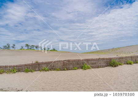 （静岡県）中田島砂丘 103970380