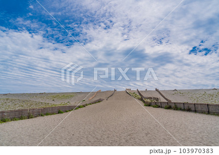 (静岡県)中田島砂丘 (静岡県)中田島砂丘 103970383