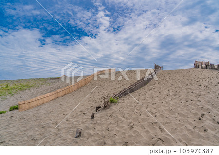 （静岡県）中田島砂丘 103970387
